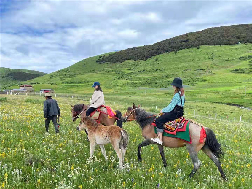 游客在祝?；êｓw驗(yàn)騎馬  任剛.jpg